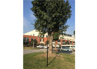 45ft Reach Carbon Fiber Telescopic Pole For Windows Cleaning Strong Clamp